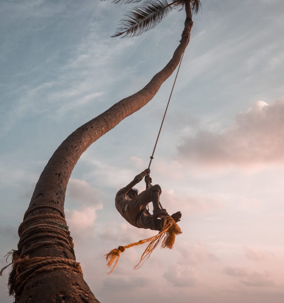 Sri Lanka: Serenity in Every Sunset, Stories in Every Stone.